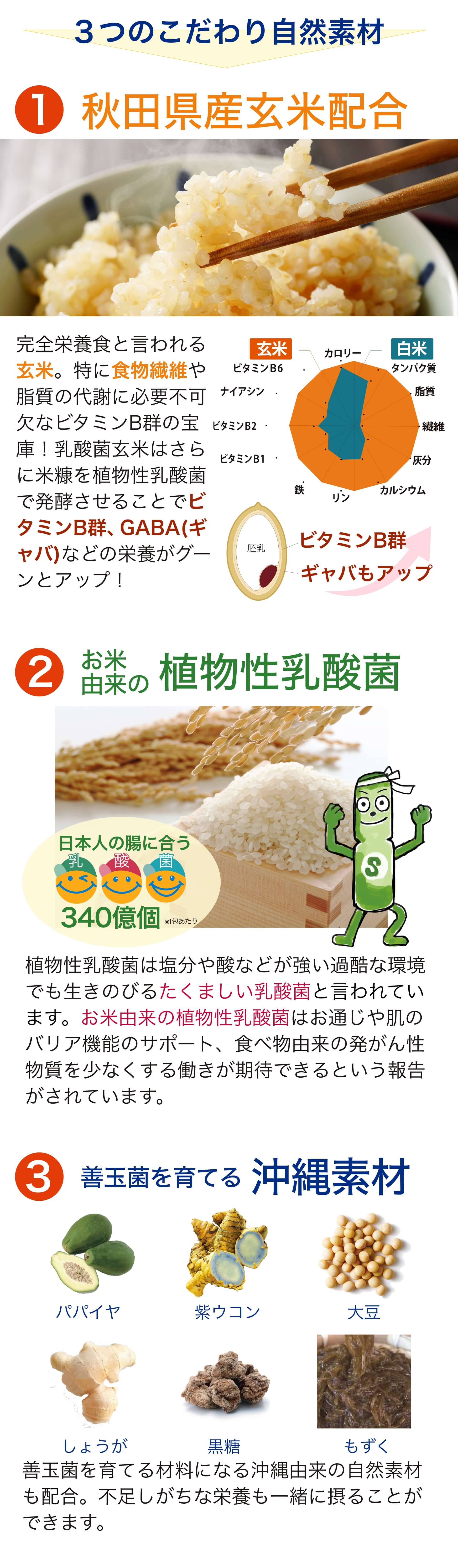 乳酸菌玄米