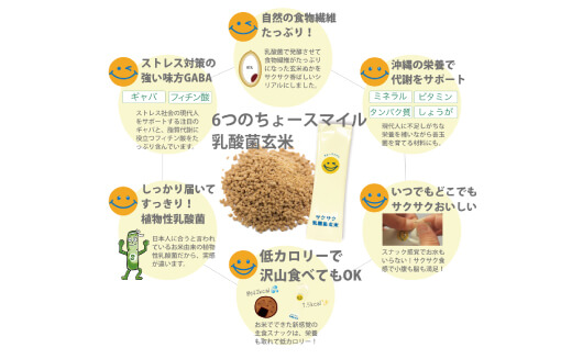 乳酸菌玄米