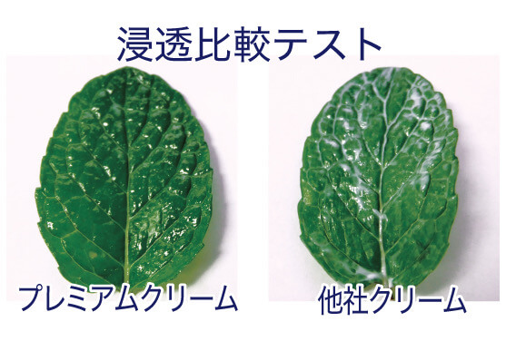 浸透比較テスト プレミアムクリームと他社クリーム