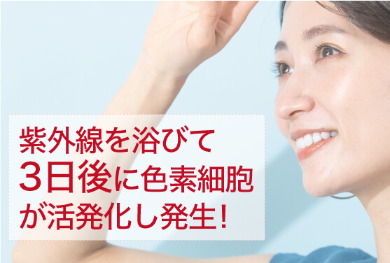 プレミアムエッセンス
